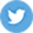 Logo Twitter.png